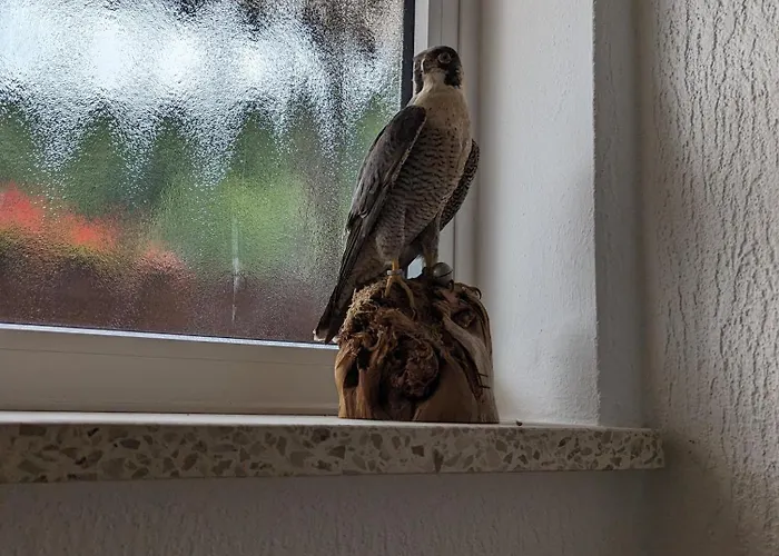 게스트하우스 Haus Am Waldesrand 헤르츠베르크암하르츠